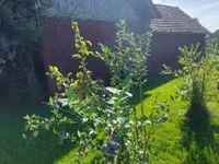 Недвижимость Дом в Вержее, Центр: 19