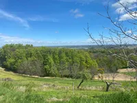 Недвижимость Дом Дестриник Птуйский Район: 3