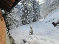 Недвижимость Дом, Мария Река: 2