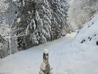 Недвижимость Дом, Мария Река: 3