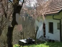 Недвижимость Дом в Нижней Речице: 2