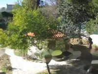 Недвижимость Villa Cannes: 12