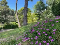 Недвижимость Apartment Cannes: 6