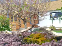 Недвижимость Дом, Рыбно: 28