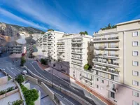 Недвижимость Apartment Monaco, Jardin Exotique: 11