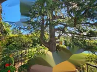 Недвижимость Maison Cannes Croix Gardes: 6