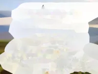 Недвижимость Apartment Cannes Croix Gardes: 8