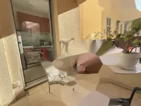 Недвижимость Apartment Cannes Suquet: 5