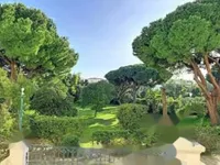 Недвижимость Apartment Pointe Croisette: 2