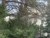 Недвижимость Apartment Cannes: 7