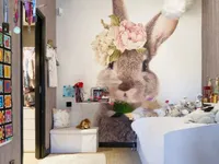 Недвижимость Villa Cannes Centre-ville: 23