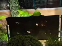 Недвижимость Villa Croix des Gardes: 3