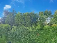 Недвижимость Apartment Cannes California: 5