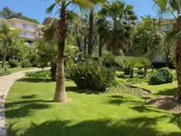 Недвижимость Apartment Cannes République: 1
