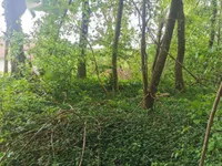 Недвижимость Дом Друго Чагона: 12