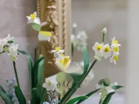 Недвижимость Apartment Cannes Center: 29