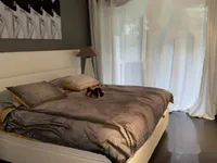 Недвижимость Apartment Cannes: 8