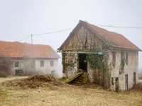 Недвижимость Дом в районе Дальне Жниве: 6