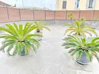 Недвижимость Duplex Cannes République: 5