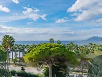 Недвижимость Apartment Pointe Croisette: 1