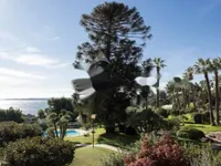 Недвижимость Apartment Cannes: 1