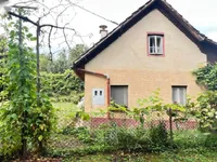 Недвижимость Дом на Бруншкой горе: 1