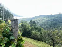 Недвижимость Дом на Бруншкой горе: 7