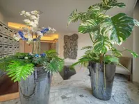 Недвижимость Apartment Pointe Croisette: 25