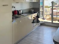 Недвижимость Apartment Cannes: 7