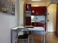 Недвижимость Fantastic ski-in/ski-out duplex for investment: 2