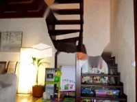 Недвижимость Apartment for sale in Ordino: 5