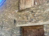 Недвижимость Centennial farmhouse for sale in Pal, La Massana: 2