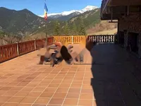 Недвижимость Exclusive chalet in a prime location: 3