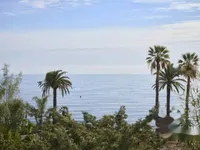 Недвижимость Apartment Cannes Croix Gardes: 31