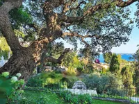 Недвижимость Villa Cannes: 7