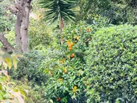 Недвижимость Apartment Cannes: 19