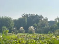 Недвижимость Apartment Marina-La Roubine: 20