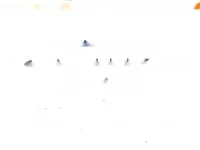 Недвижимость Apartment Cannes: 5