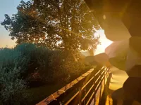 Недвижимость Дом, Сеча: 3