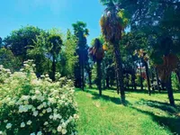 Недвижимость Дом, Порторож: 4