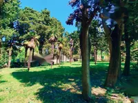 Недвижимость Дом, Порторож: 5