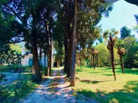 Недвижимость Дом, Порторож: 10