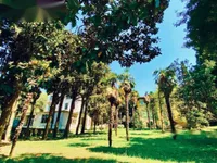 Недвижимость Дом, Порторож: 12