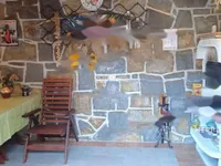 Недвижимость Дом с террасой Новый Ягодье: 23