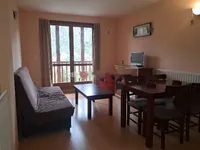 Недвижимость Furnished 1-bedroom apartment in La Pleta de Soldeu: 5