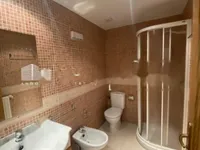 Недвижимость Furnished 1-bedroom apartment in La Pleta de Soldeu: 13