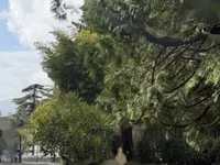 Недвижимость Apartment California: 15