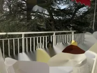 Недвижимость Apartment Petit Juas: 6