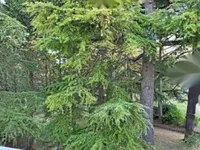 Недвижимость Apartment Petit Juas: 17