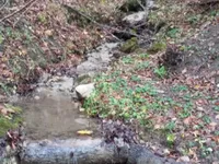 Недвижимость Участок Незаписной Новый Радовлица, Млака.: 4